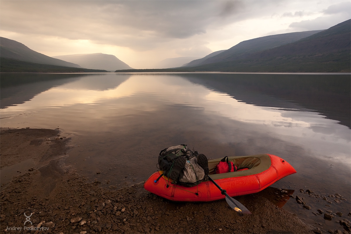 Синица Синица