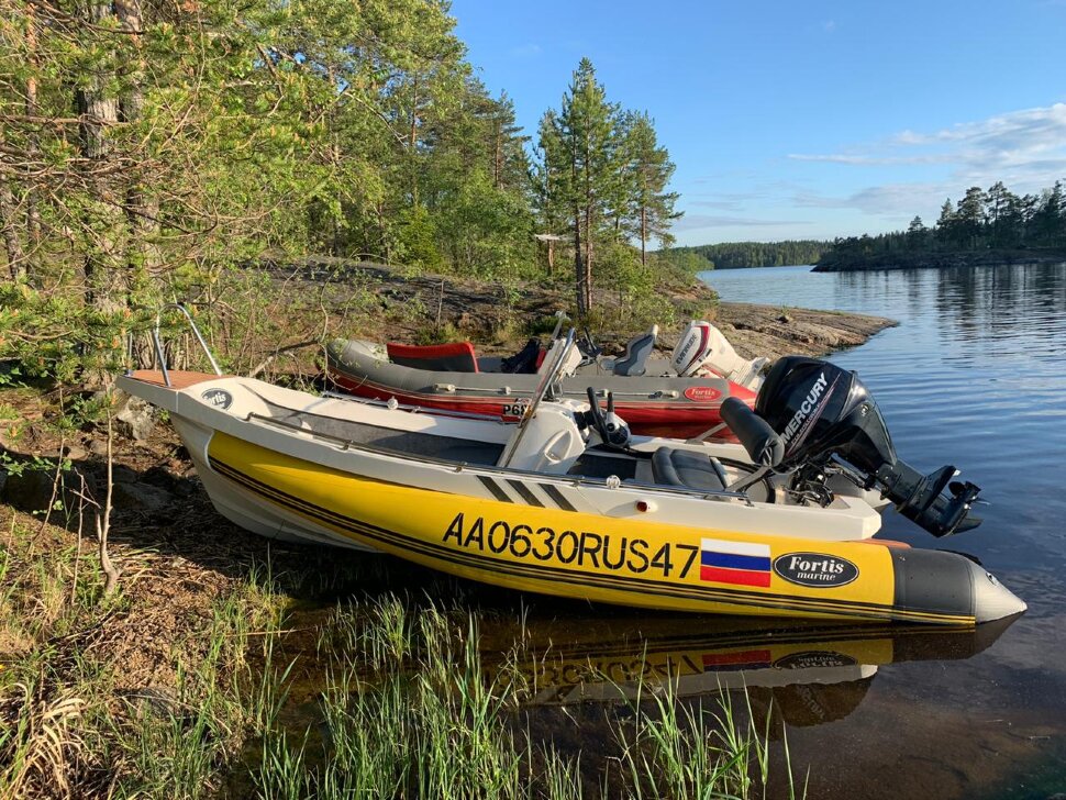 Fortis 460 Z Fortis 460 Z