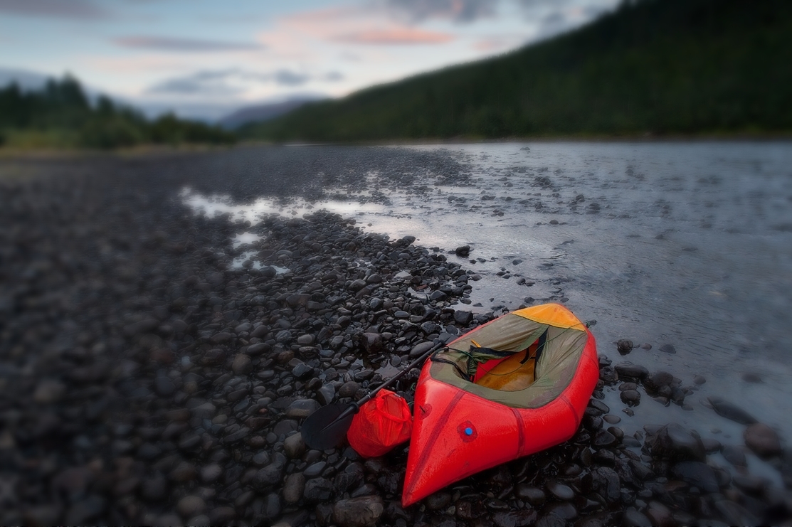 Синица Синица