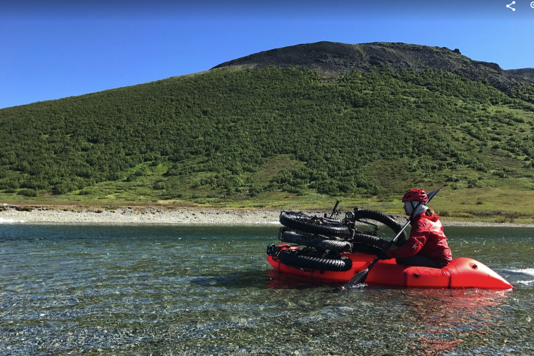 Иволга Стандартная