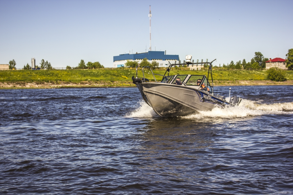 Berkut M-DC Standart Berkut M-DC Standart